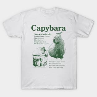 Vintage Capybara Infographic T-Shirt